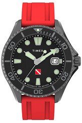 Zegarek męski Timex Atlantis TW2W21000